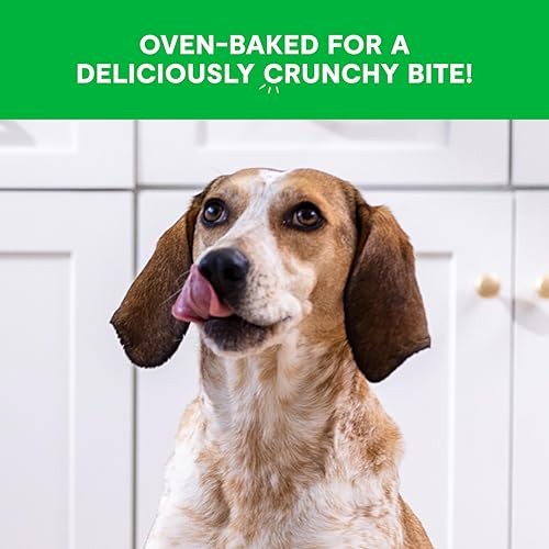 Open Farm Better Biscuits Chicken and Oatmeal with Probiotics Oven-Baked Crunchy Dog Treats - 8 Oz - Case of 12