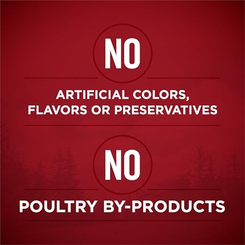 Purina ONE True Instinct Tender Cuts in Gravy Beef Chicken Salmin Duck Canned Dog Food - Variety Pack - 13 Oz - Case of 6