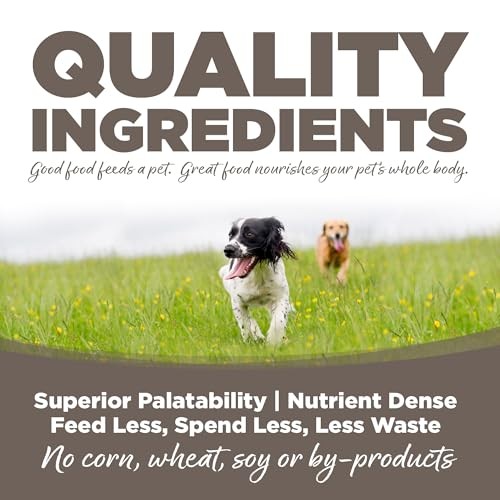Nutrisource Chicken and Rice with Wholesome Grains Senior Adult Dry Dog Food - 12 Lbs