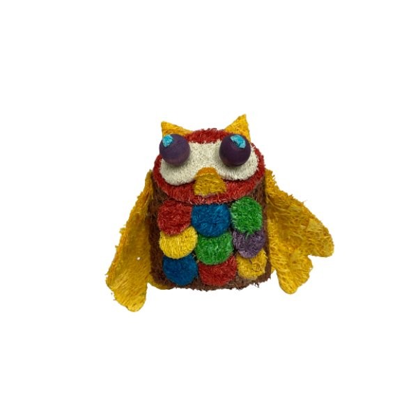 A&E Cage Company Nibbles Owl Whooo Small Animal Toy