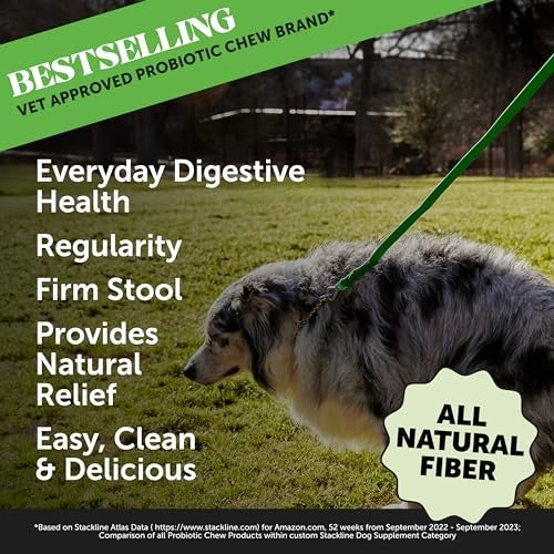 Pet Honesty Fiber Powder Pumpkin Flavor Apple Pectin and Psyllium Husk Digestive and Stool Dog Supplement - 8 Oz - 90 Day Supply