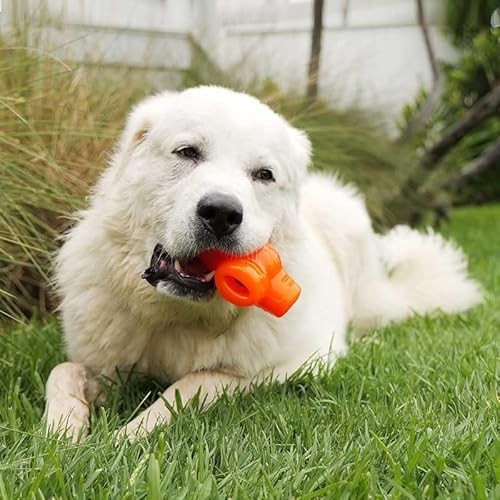 BIONIC Treat Star Toughest Chewer Treat Inserting Interactive Rubber Dog Toy