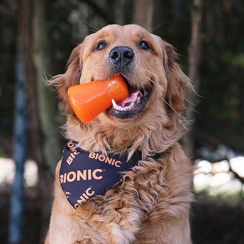 BIONIC Treat Shaker Toughest Chewer Treat-Dispensing Rubber Dog Toy - Medium - Dogs 15-35 Lbs