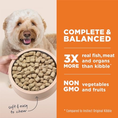 Instinct Raw Meals Beef Adult Freeze-Dried Dog Food - 14 Oz