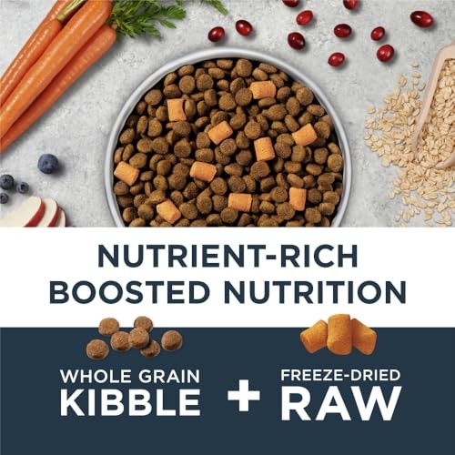 Instinct Raw Boost Gut Health Chicken and Whole Grain Kibble and Freeze-Dried Raw Dog Food - 3.5 Lbs - Case of 5