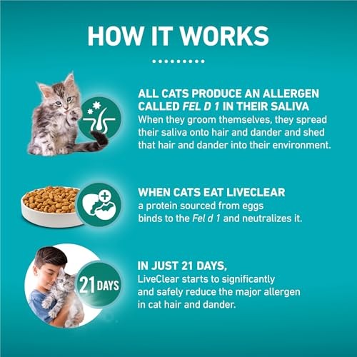 Purina ONE LiveClear Allergen Reducing Formula Chicken Kitten Dry Cat Food