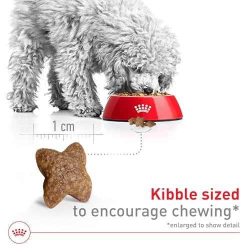 Royal Canin Size Health Nutrition Digestive Health Small-Breed Adult Dry Dog Food - 30 Lbs