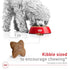 Royal Canin Size Health Nutrition Digestive Health Small-Breed Adult Dry Dog Food - 30 Lbs
