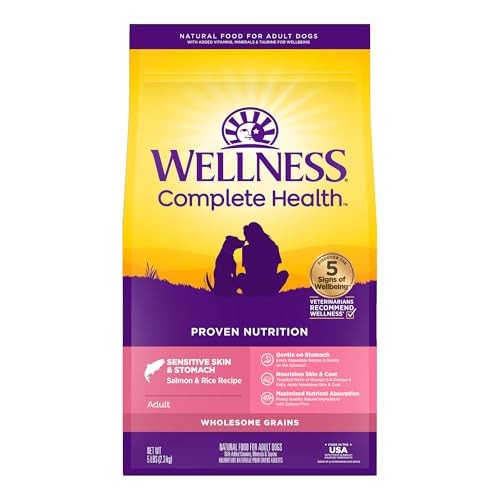 Wellness Complete Health Sensitive Skin and Stomach Wholesome Grains Salmon and Rice Adult Dry Dog Food - 5 Lbs Default Title