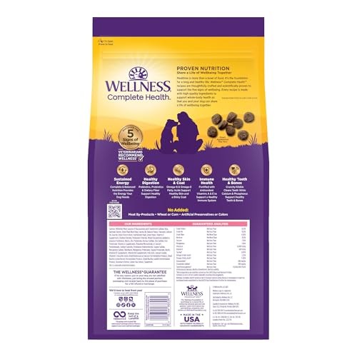 Wellness Complete Health Sensitive Skin and Stomach Wholesome Grains Salmon and Rice Adult Dry Dog Food - 5 Lbs