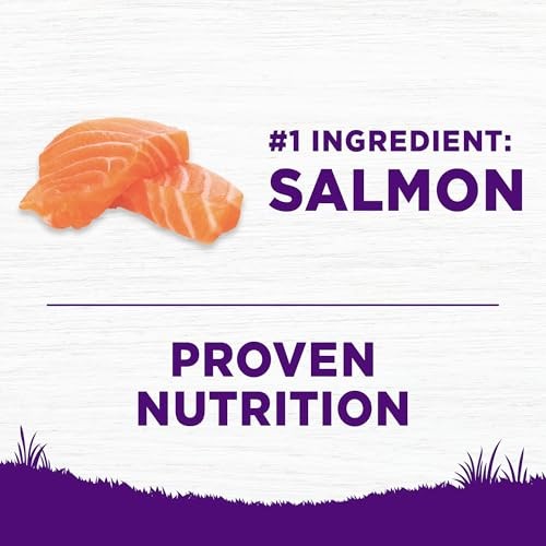 Wellness Complete Health Sensitive Skin and Stomach Wholesome Grains Salmon and Rice Adult Dry Dog Food - 5 Lbs