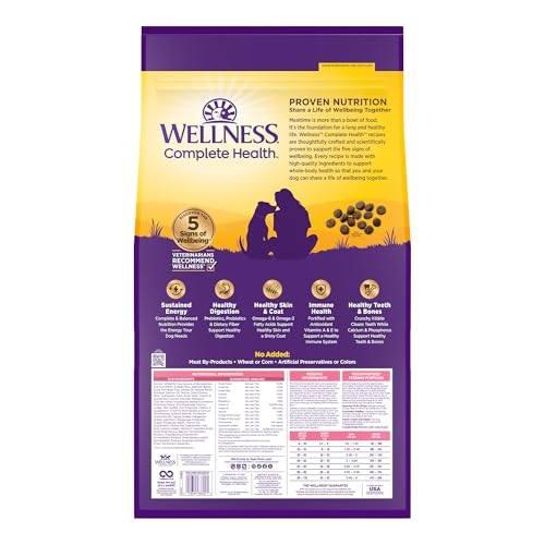 Wellness Complete Health Sensitive Skin and Stomach Wholesome Grains Salmon and Rice Adult Dry Dog Food - 24 Lbs