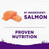 Wellness Complete Health Sensitive Skin and Stomach Wholesome Grains Salmon and Rice Adult Dry Dog Food - 24 Lbs