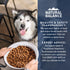 Natural Balance Health Protection Chicken Brown Rice Pumpkin Puppy Dry Dog Food - 12 Lbs