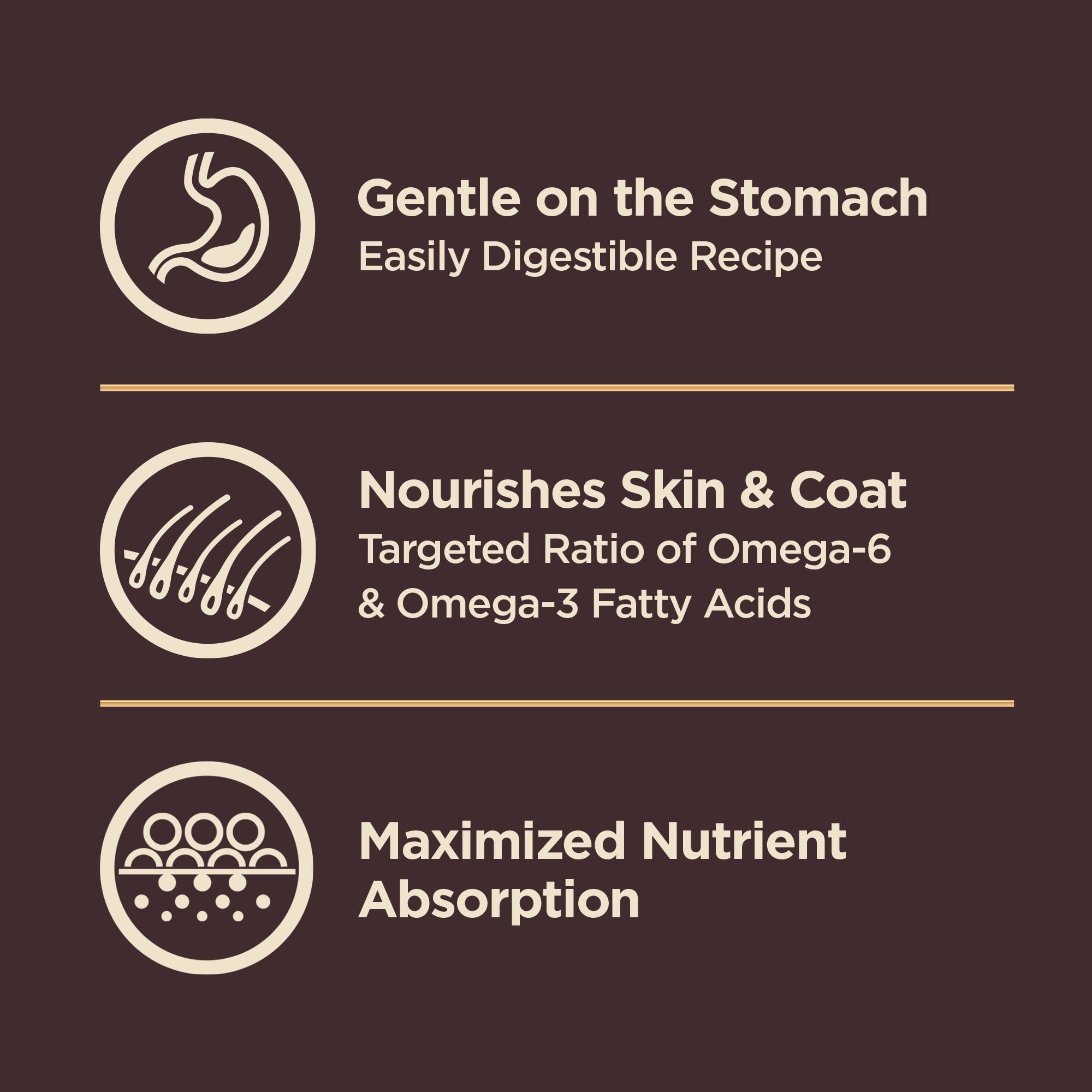 Wellness CORE+ Sensitive Skin and Stomach Wholesome Grains Salmon and Rice Adult Freeze-Dried Pieces and Dry Dog Food - 18 Lbs