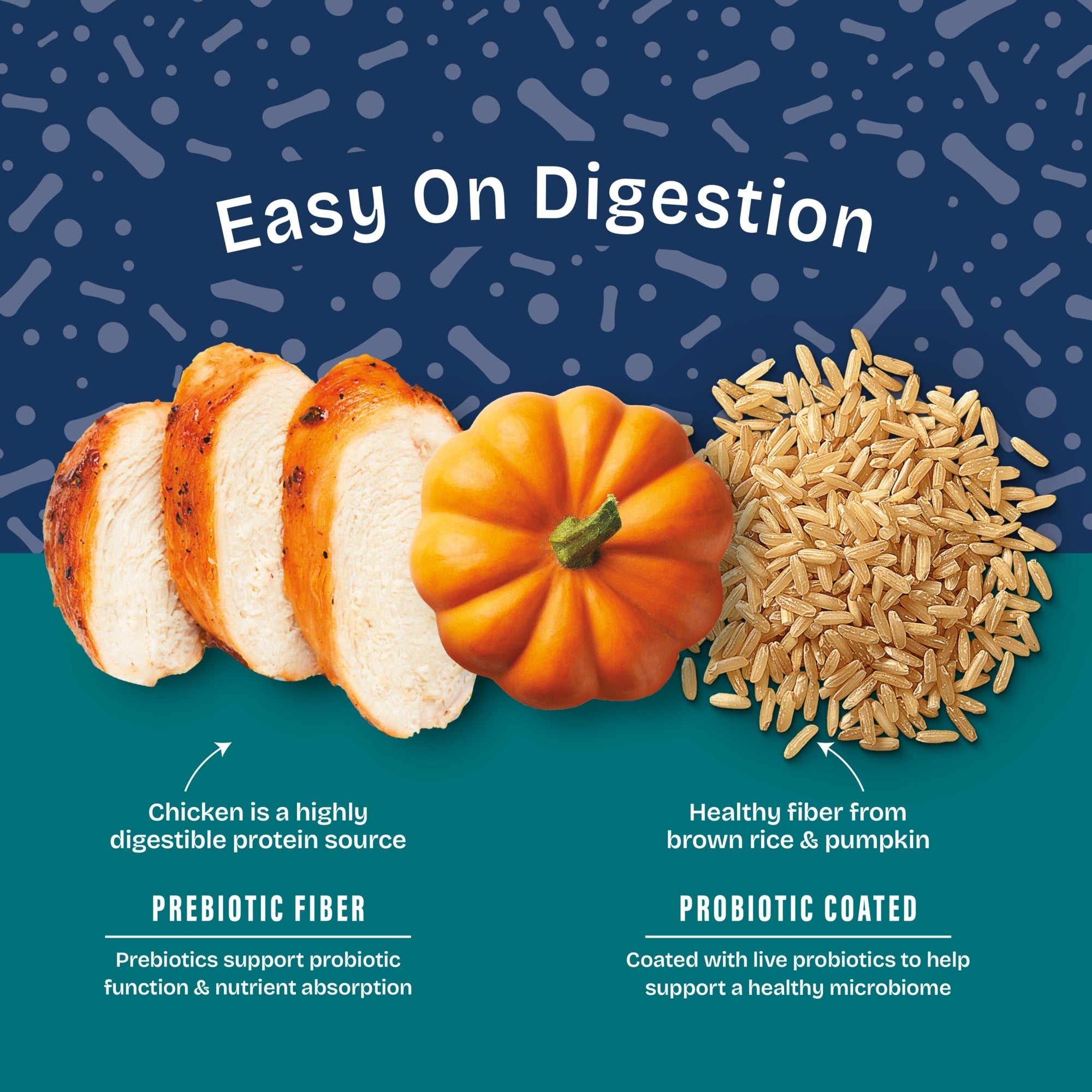 Natural Balance Health Protection Chicken Brown Rice Pumpkin Puppy Dry Dog Food - 4 Lbs Default Title