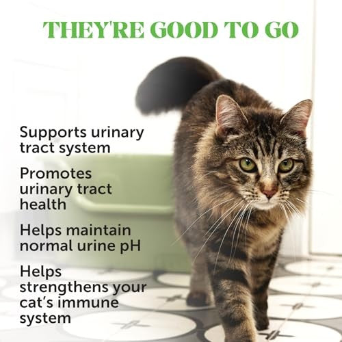 Pet Honesty Urinary Health Cranberry Extract and Glucosomine Kidney and Bladder Chicken Flavor Supplemental Cat Treats - 3.7 Oz - 30 Day Supply