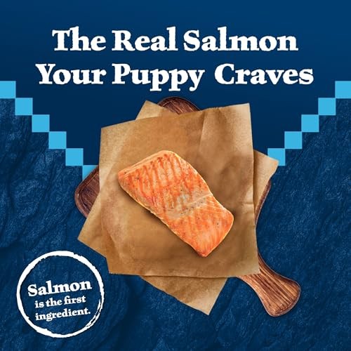 Blue Buffalo Wilderness More Meat Salmon and Wholesome Grains Puppy Dry Dog Food - 24 Lbs