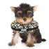 Arlee Comfurt Recovery Dog Collar - Cheetah - Extra Small