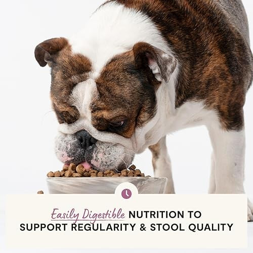 Open Farm Digestive Health Wild-Alaskan Pollock and Oatmeal with Probiotics Dry Dog Food - 4 Lbs