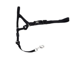 Coastal Walk N' Train Head Holt Head Halter Dog Leash and Harness - Black - Medium - 5-7 Inch Snout