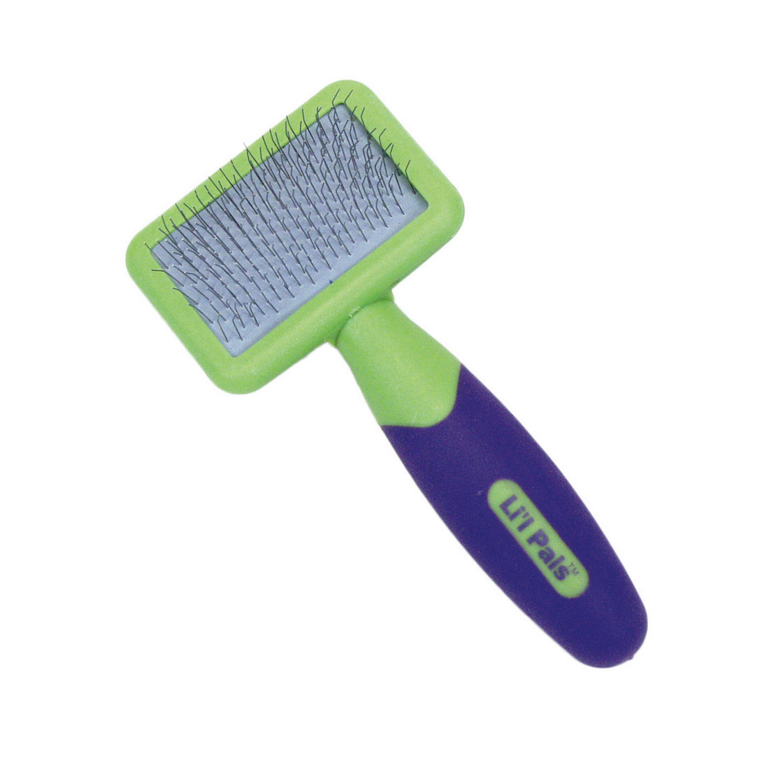 Coastal Lil' Pals Kitten Cat Slicker Brush with Coated Tips - Green/Purple