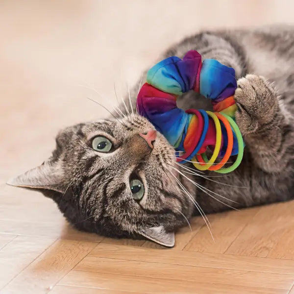 Kong Active Cat Scrunchie Crinkle Multi-Colored Catnip Cat Toy  