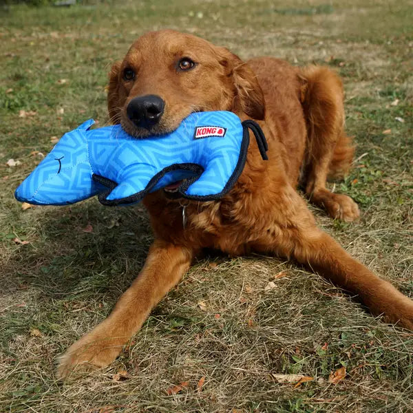 Kong Ballistic Rhino Reinforced Squeak and Rattle Soft and Plush Nylon Dog Toy - Medium/Large - 13.5 Inch