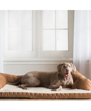 Petmate Aspen Bolster Orthopedic Couch-style Dog Bed - Assorted Color - L:54 X W:34 Inches