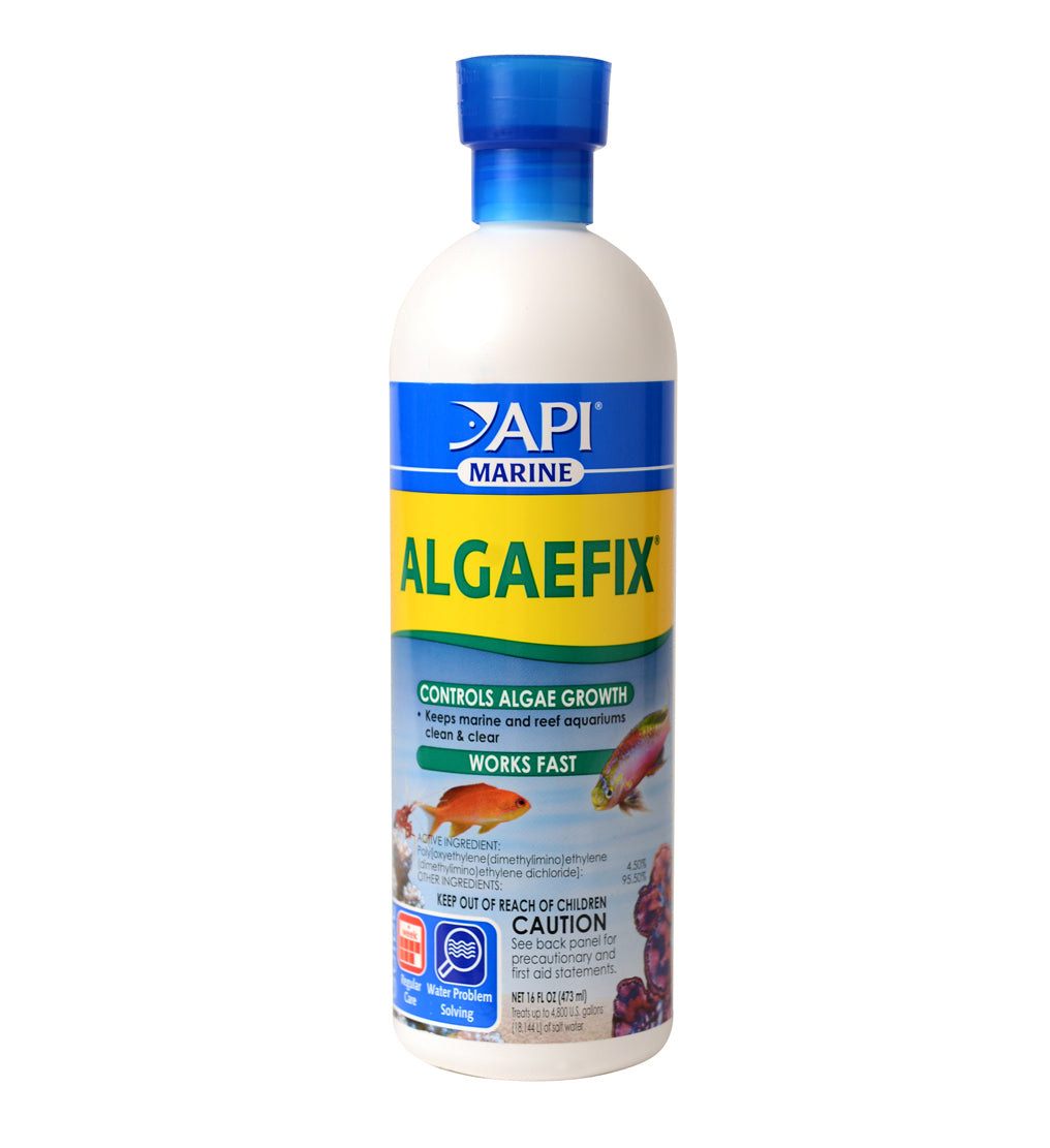 API AlgaeFix Marine Saltwater Aquarium Water Conditioner - 16 Oz
