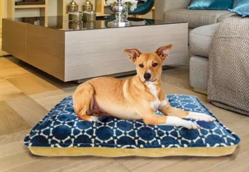 Arlee Bella OrthoLux Orthopedic Coconut Fur Mattress Dog Bed - Brown - Large - L:45 X W:36 X H:8 Inches 