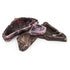 Fluker's Corner Bowl Reptile Terrarium Décor - Large