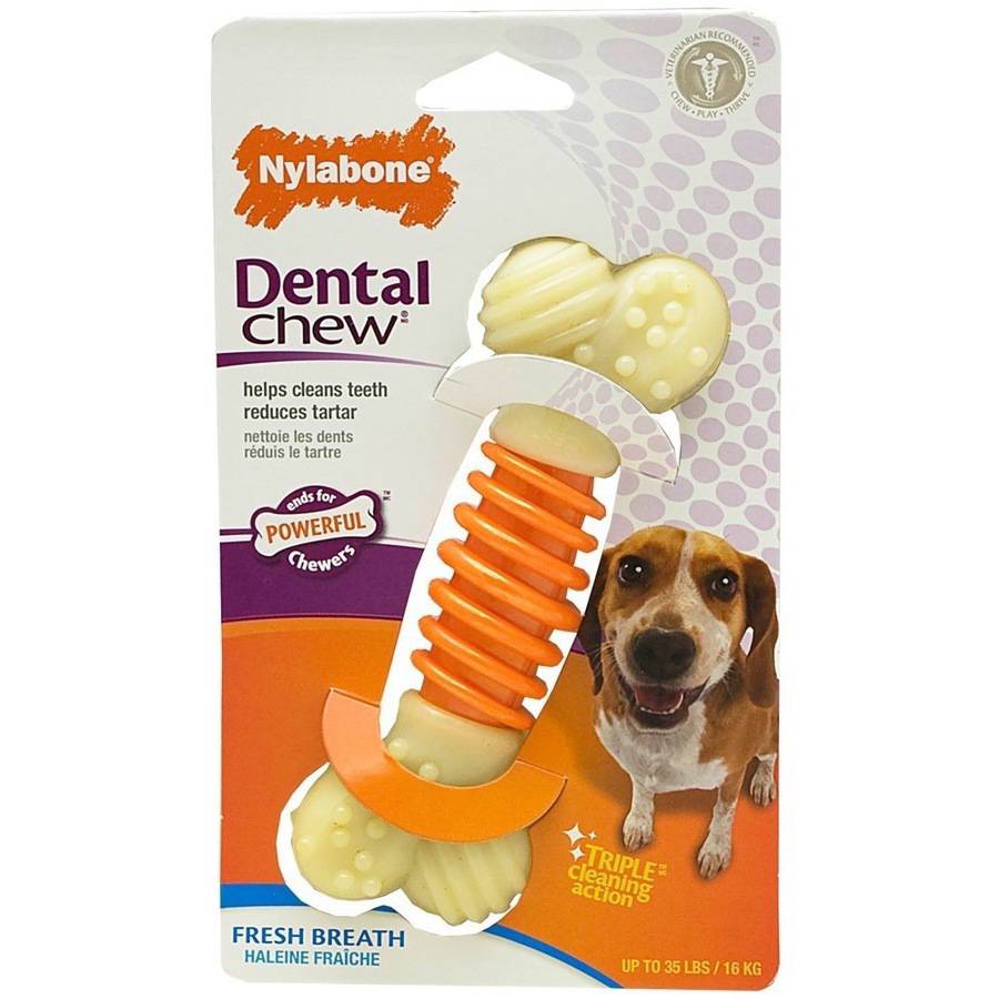 Nylabone Pro-Action Dental Bone Power-Chew Bacon Flavored Nylon Chew Dog Toy - Medium