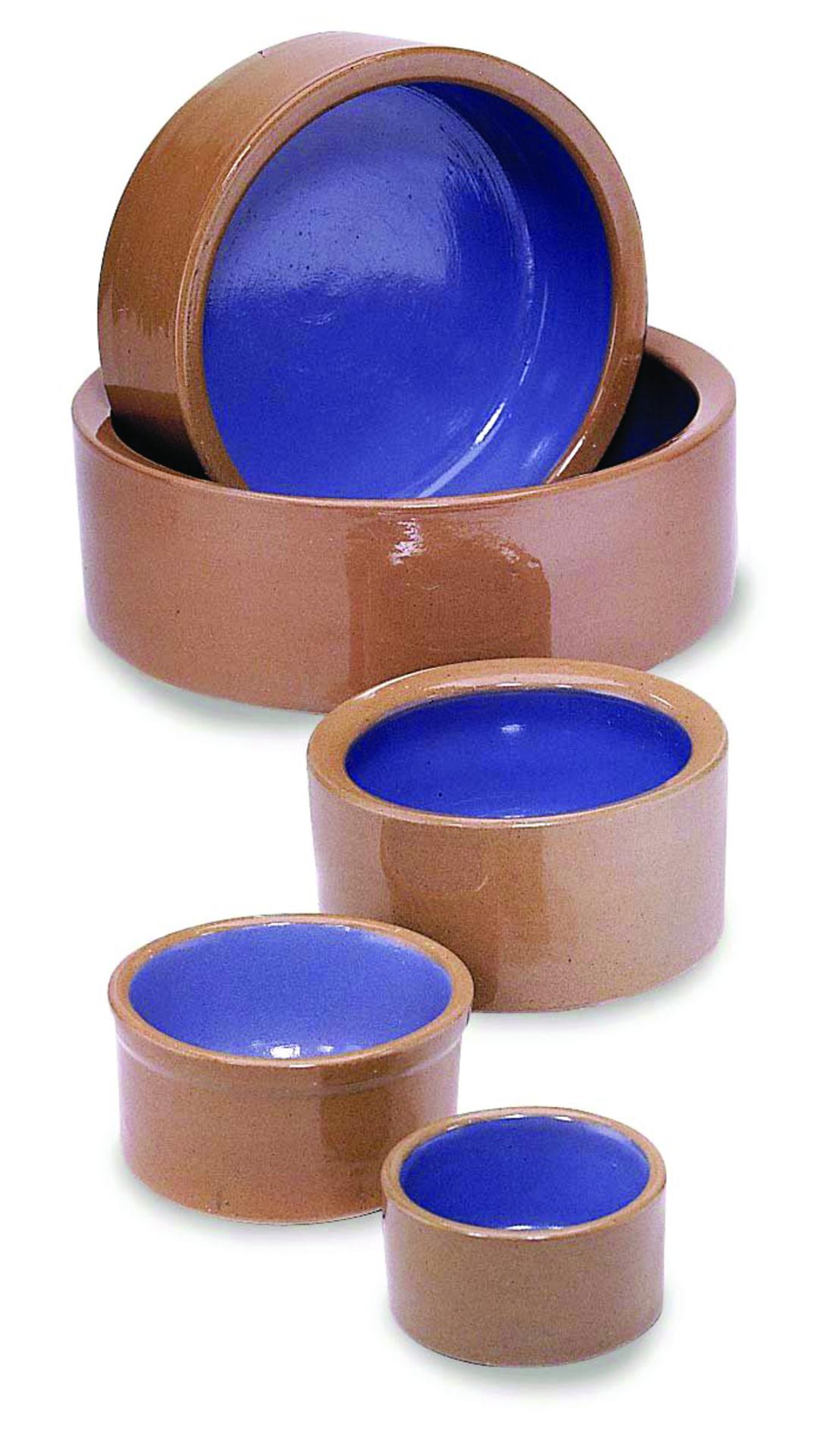 Ethical SPOT Ceramic Stoneware Puppy Small-Animals and Cat Bowl Dish - Blue - 3 Inch