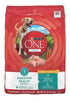 Purina One SmartBlend Digestive Health with Probiotics Tender Morsals Chicken Dry Dog Food - 31.1 Lbs  