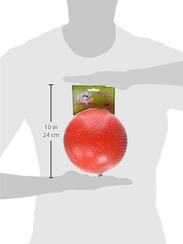 Jolly Pets Boune N' Play Original Orange Scented Ball Dog Toy - Orange - Medium - 6 Inch