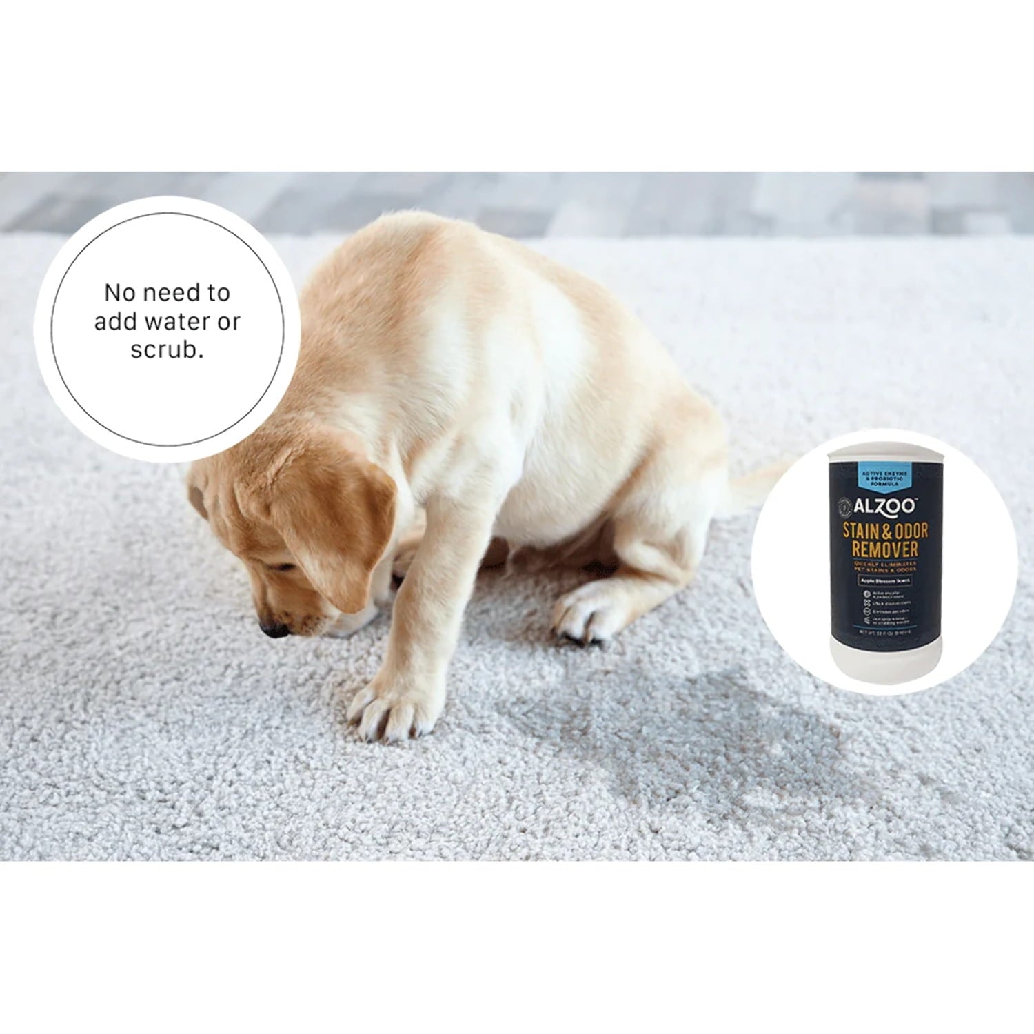 Alzoo Stain and Odor Remover Citrus and Vanilla Spray - 16 Oz 
