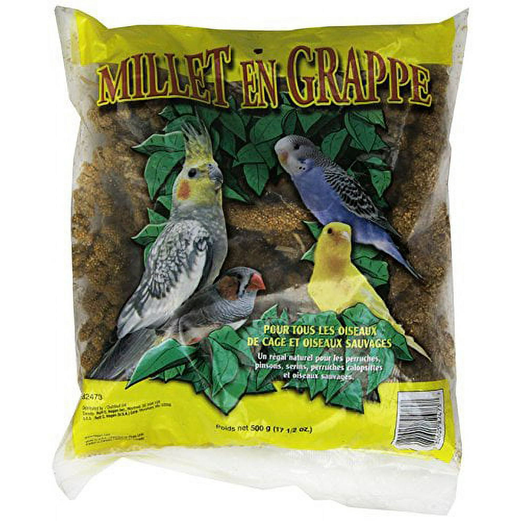 Hagen Hari Living World Millet Spray Bird Treats for Cockatiels Budgies Canaries and Finches