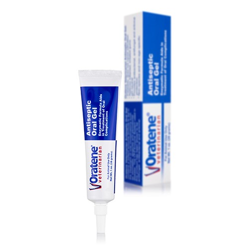 Zymox Oratene Antiseptic Brushless Toothpaste Oral Care Gel for Cats and Dogs - 1 Oz