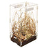 Zilla Micro Habitat Acrylic Terrarium Arboreal with Locking Latch Enclosures for Insects