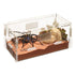 Zilla Micro Habitat Acrylic Terrarium Terrestrial with Locking Latch Enclosures for Insects