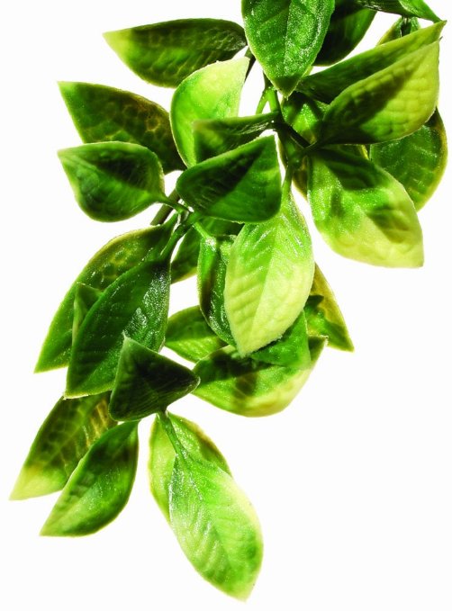 Exo Terra Jungle Mandarin Plastic Reptile Terrarium Plant - Small