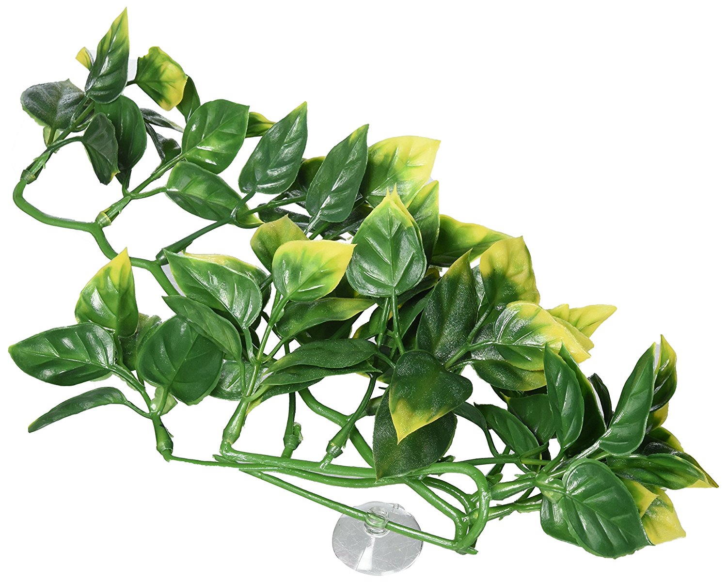 Exo Terra Jungle Amapallo Plastic Reptile Terrarium Plant - Small