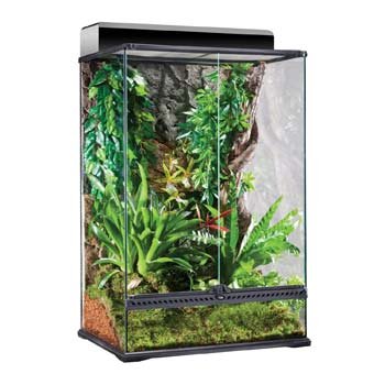 Exo Terra All-Glass Dual-Door Tall Profile Terrarium Medium - L:24 X W:18 X H:36 In