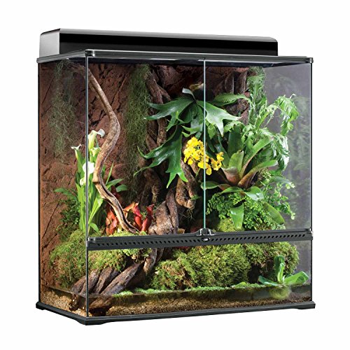 Exo Terra All-Glass Dual-Door Tall Profile Terrarium Large - L:36 X W:18 X H:36 In