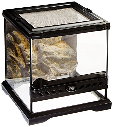 Exo Terra Glass Single-Hinge Nano Terrarium - L:8 X W:8 X H:8 Inches