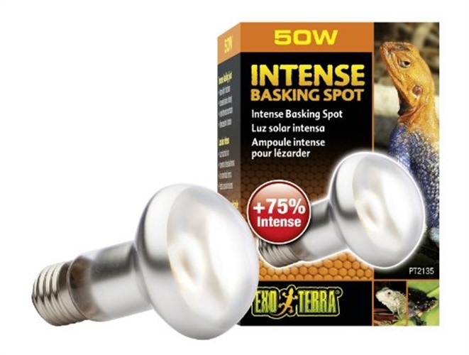 Exo Terra Sun-Glo Intense Infrared Basking Reptile Spot Lamp - 120V 50 Watt