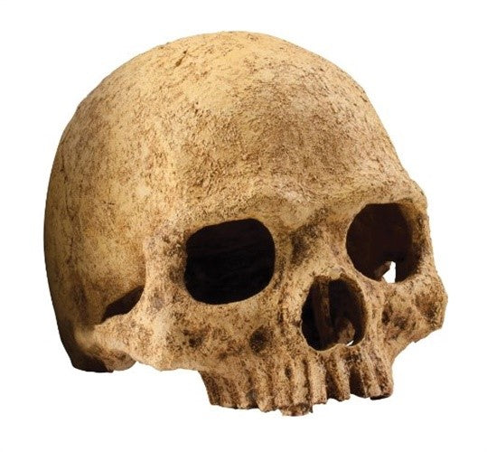 Exo Terra Primate Skull Reptile Terrarium Décor 