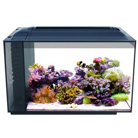 Fluval Evo XII Saltwater Aquarium Kit with Reef Capable LED and 3-Stage Filter - 13.5 Gallon - L:22 X W:11.5 X H:15 Inches 