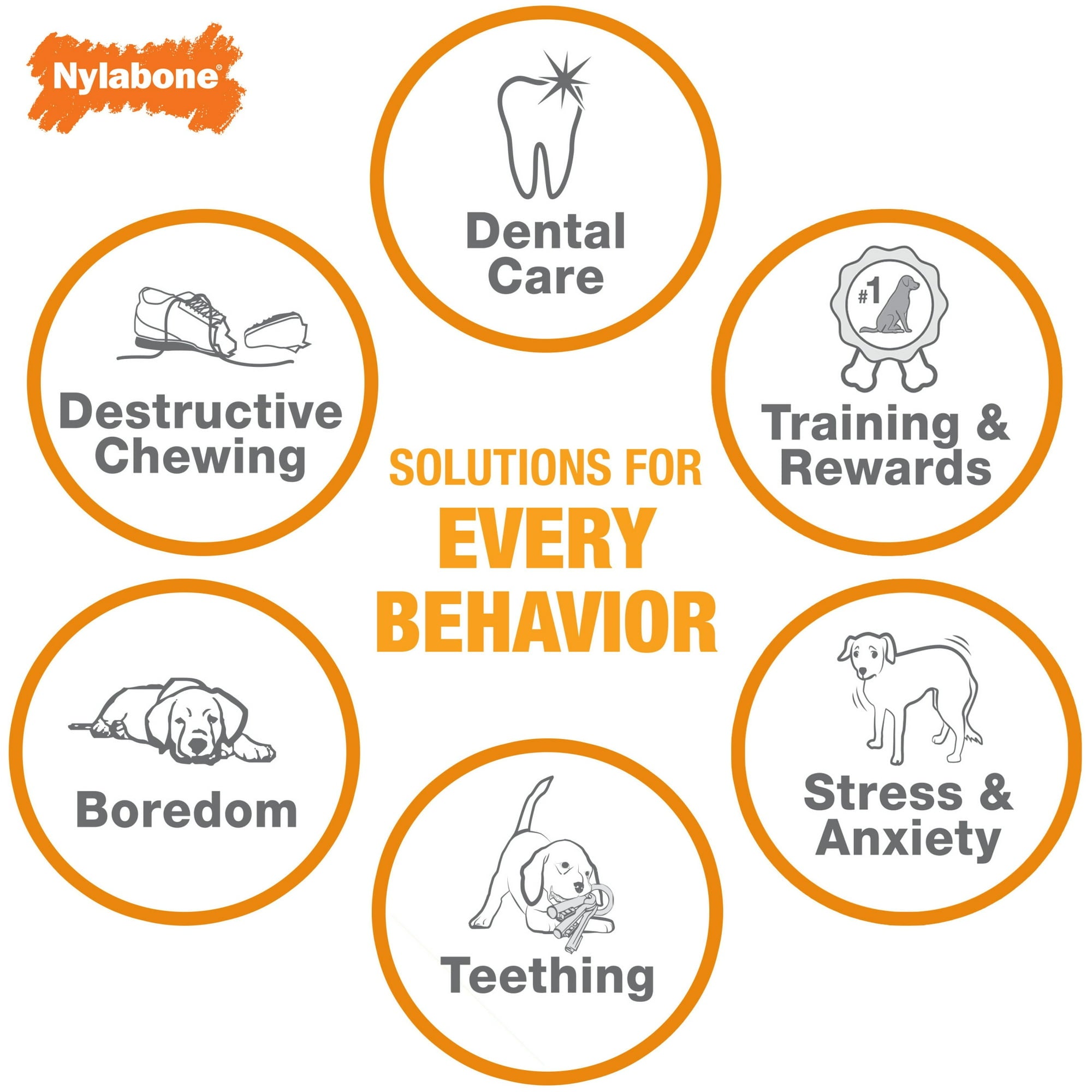 Nylabone Original Bone Flavor Frenzy Multiple Flavor Power-Chew Nylon Chew Dog Toy - Extra Small - 3 Pack